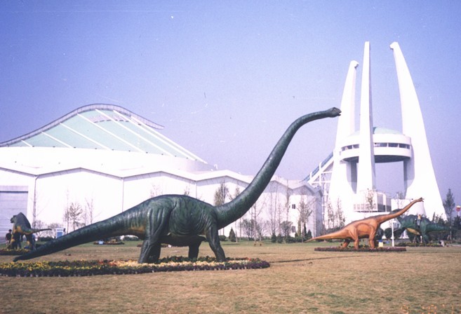 �����ü��