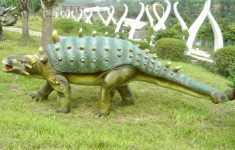 ������w����