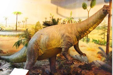 ���浓�S��